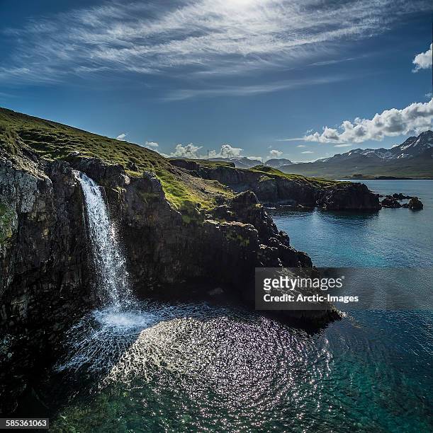 Waterfall, cliff side, Borgafjordur East, Iceland