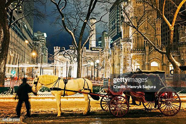 horse carriage and water tower in chicago - michigan avenue imagens e fotografias de stock