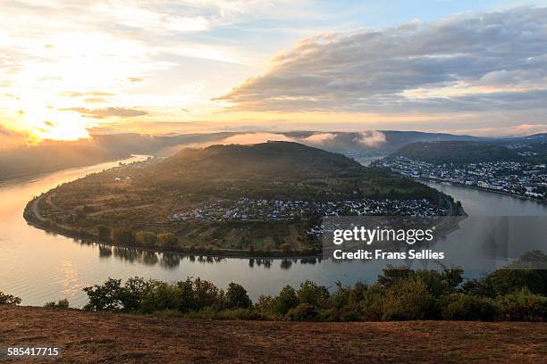 loop in the rhine, near boppard, germany - rhein stock-fotos und bilder
