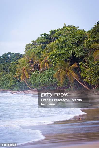 playa chiquita, puerto viejo, costa rica - iacomino costa rica stock pictures, royalty-free photos & images