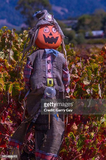 vineyard scarecrow - scarecrow faces stock pictures, royalty-free photos & images
