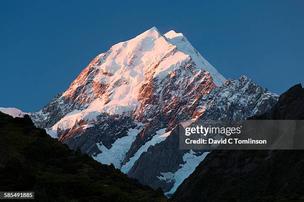 the summit of mount cook lit by the setting sun - mt cook stock pictures, royalty-free photos & images