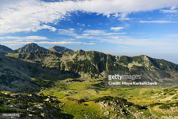 summer landscape from pirin mountain, bulgaria - pirin mountains stockfoto's en -beelden