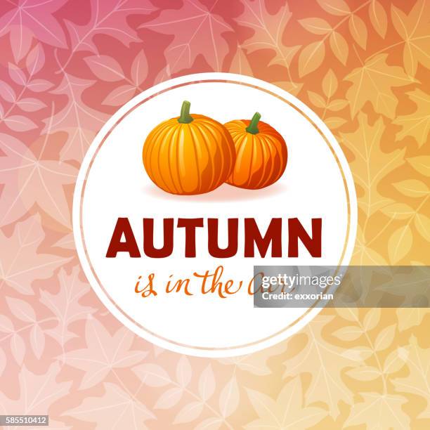 autumn frame with pumpkins - big mac pumpkin stock illustrations