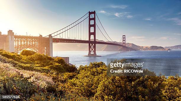 golden gate bridge, san francisco, usa - san francisco californië stockfoto's en -beelden