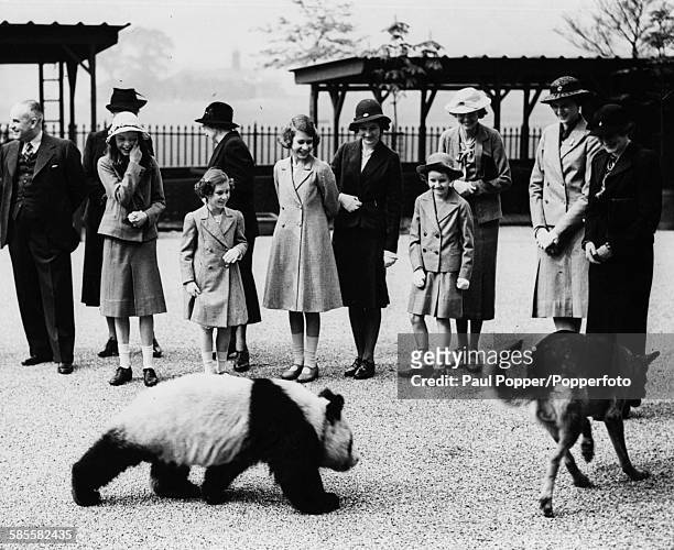 Princess Elizabeth and Princess Margaret laugh as they watch a Giant Panda chase an Alsation dog at London Zoo, May 10th 1939.