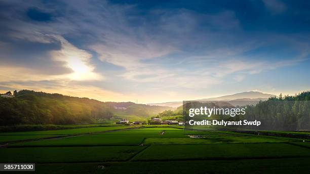 rural landscape at saga , japan - kyushu stock-fotos und bilder