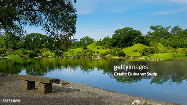 japan, kumamoto prefecture, suizenji park, reflection of trees in water - reflection pool - fotografias e filmes do acervo