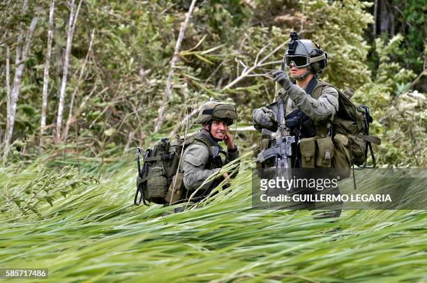 Colombian police personnel secure a landing zone during an operation to destroy a cocaine processing lab in a rural area of the municipality of...