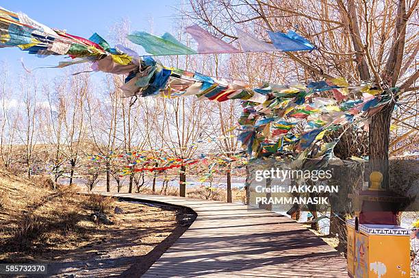 prayer flags in songzanlin monastery - songzanlin monastery stock-fotos und bilder