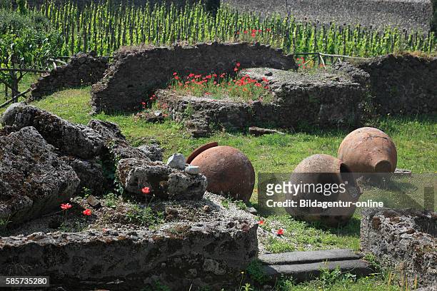 The amphora at Garden of the refugees, Pompeii, Campania, Italy.