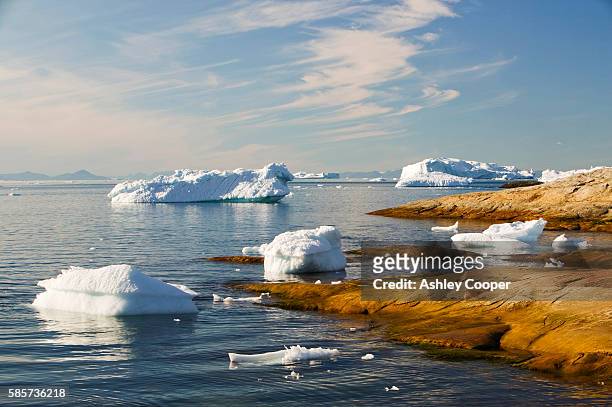 icebergs from the jacobshavn glacier or sermeq kujalleq drains 7% of the greenland ice sheet and is the largest glacier outside of antarctica. it calves enough ice in one day to supply new york with water for one year. it is one of the fastest moving glac - sea level 個照片及圖片檔