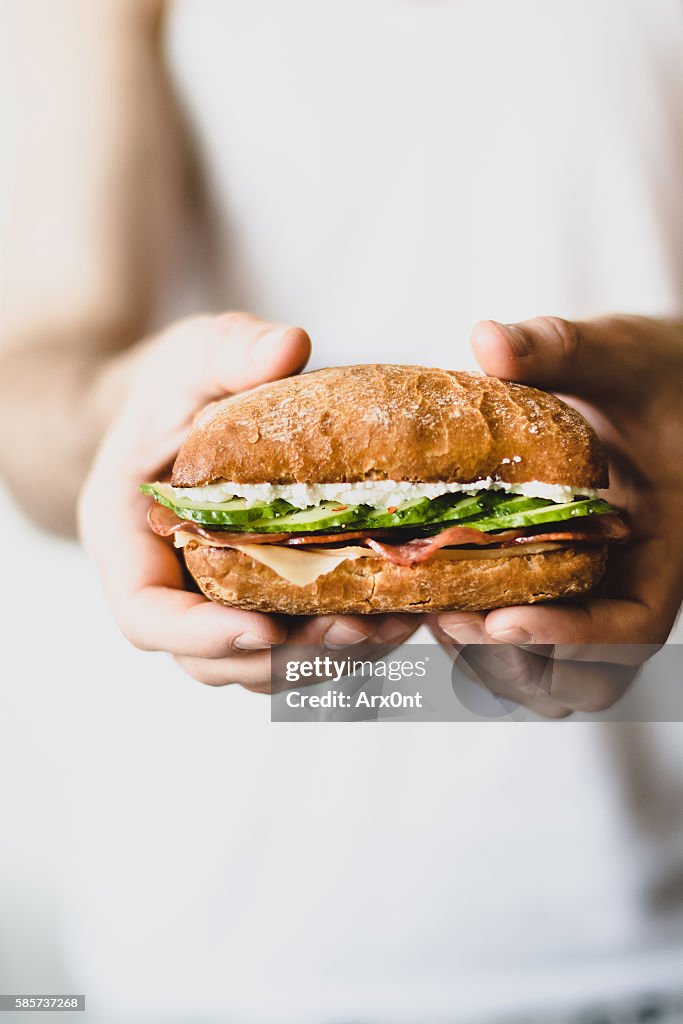 Sandwich in hands