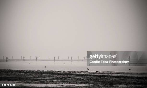 loneliness - cuxhaven stock-fotos und bilder