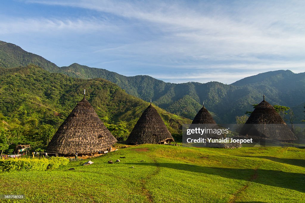 Traditional Architecture