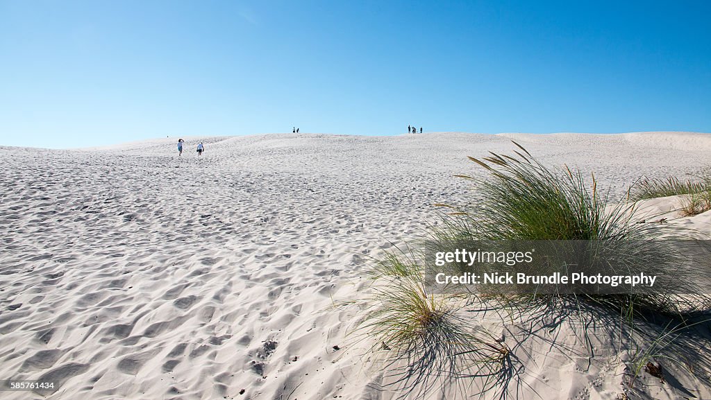 Raabjerg Mile, sand dune, Skagen - Denmark