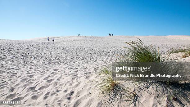 raabjerg mile, sand dune, skagen - denmark - sand blowing stock pictures, royalty-free photos & images