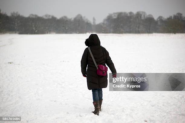 germany, bavaria, munich, rear view of woman walking in snow covered field - frau garten stock pictures, royalty-free photos & images