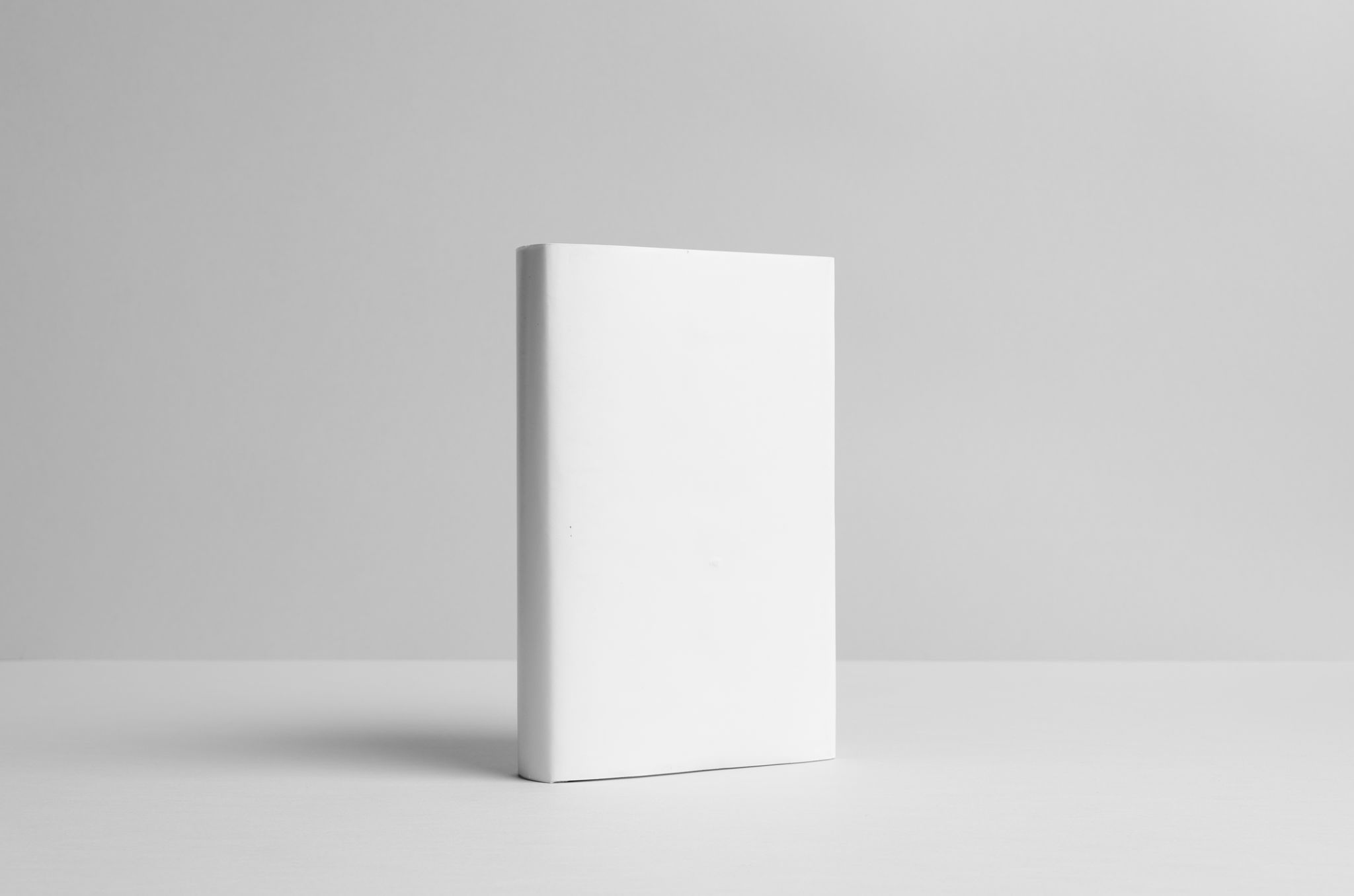 model portfolio