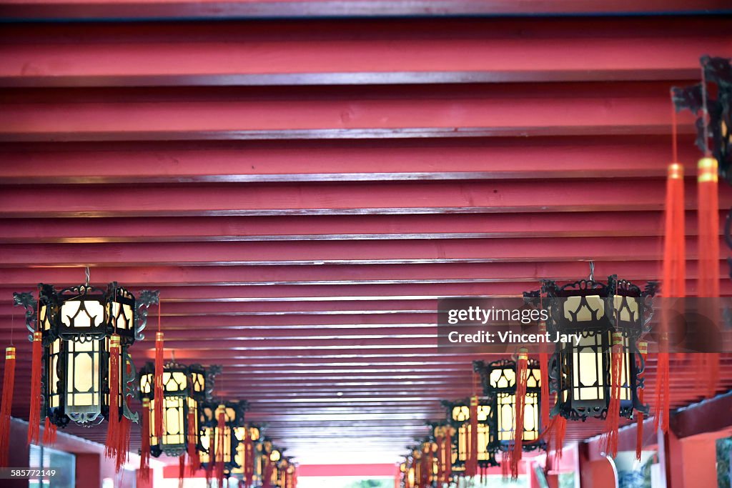 Chinese lantern