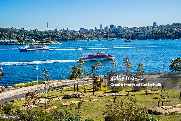 barangaroo point reserve sydney - bay of water stock pictures, royalty-free photos & images