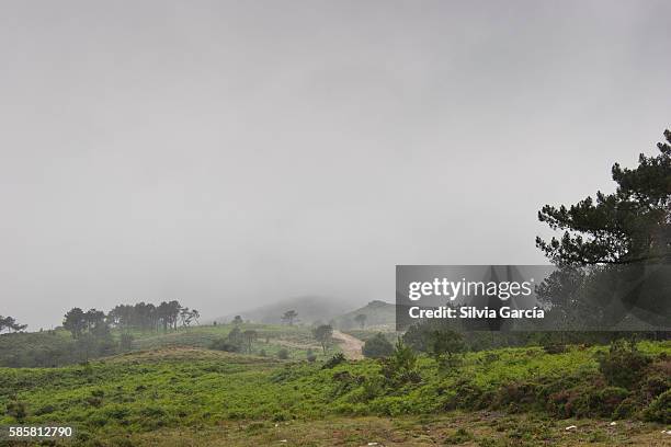 mountains around sabucedo,concejo de estrada, pontevedra, galicia - ganaderia bildbanksfoton och bilder