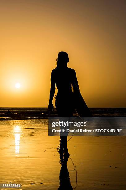 woman with surfboard on the beach at sunset, essaouira, morocco - travel african sunset rf photos only stock pictures, royalty-free photos & images