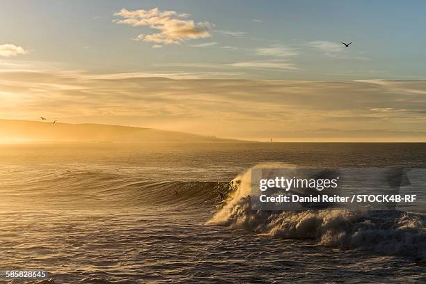 seascape with wave at sunset, essaouira, morocco - travel african sunset rf photos only stock pictures, royalty-free photos & images