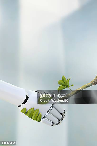 robot hand and twig shaking hands, 3d rendering - handschlag stock-grafiken, -clipart, -cartoons und -symbole
