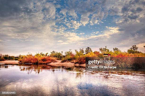 view of santa lucia river, canelones, uruguay - canelones ストックフォトと画像