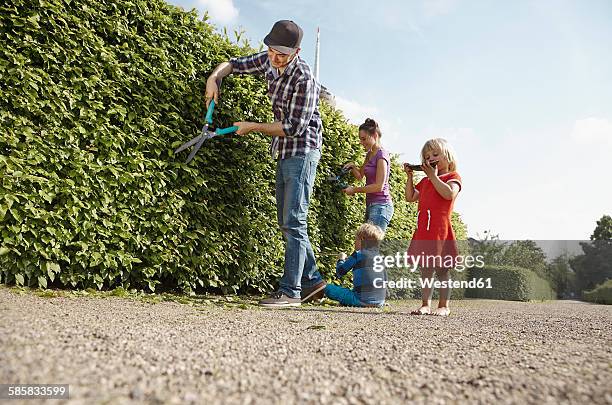 family pruning hedge together - heckenschere stock-fotos und bilder