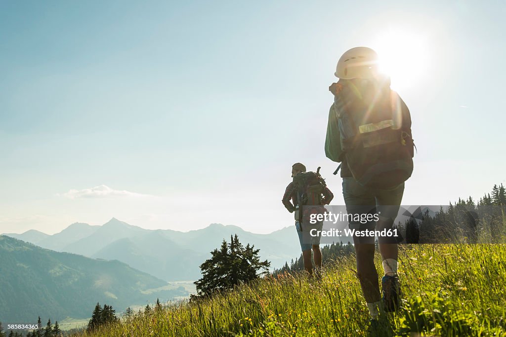 Austria, Tyrol, Tannheimer Tal, young couple hiking on alpine meadow in backlight