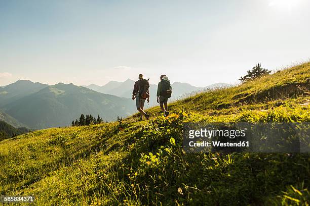 austria, tyrol, tannheimer tal, young couple hiking on alpine meadow in backlight - wiese himmel stock-fotos und bilder