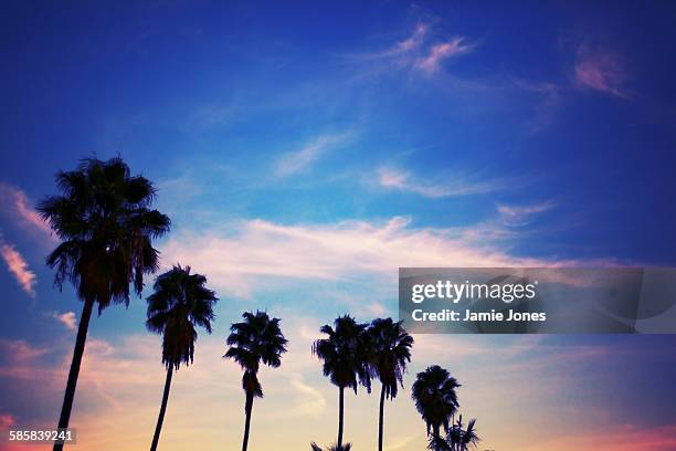 sunset - glendale california fotografías e imágenes de stock