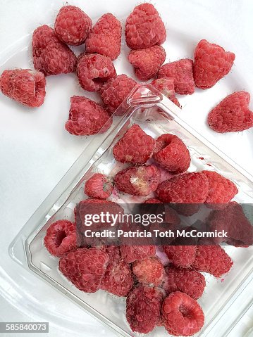 Rotting Raspberry Photo Rotting Packaged Raspberries High-Res Stock Photo - Getty Images