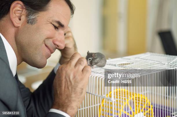 businessman smiling at his gerbil - gerbil stock pictures, royalty-free photos & images