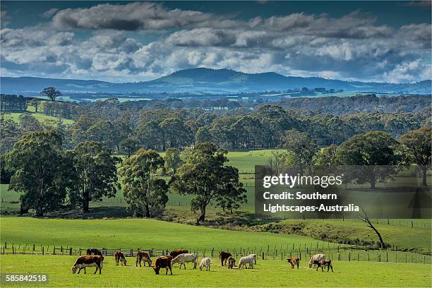 Macedonian Ranges 813 Macedon Ranges Stock Photos, High-Res Pictures, and Images - Getty ...