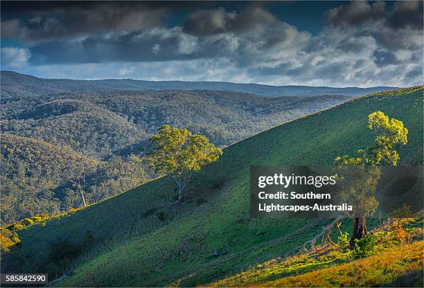 Macedon Ranges Spring 451 Macedon Ranges Stock Photos, High-Res Pictures, and Images - Getty ...