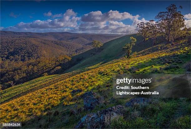 Macedonian Ranges Macedon Ranges Photos and Premium High Res Pictures - Getty Images