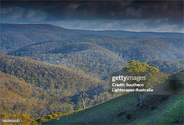 Macedonian Ranges Macedon Ranges Photos and Premium High Res Pictures - Getty Images