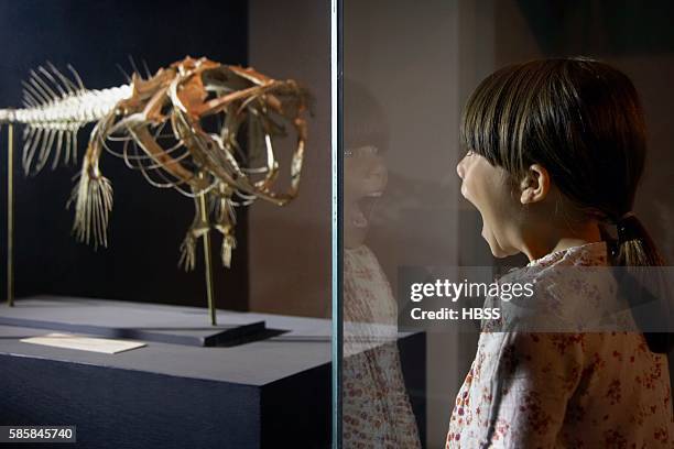 schoolgirl watching exhibit - funny skeleton stock pictures, royalty-free photos & images