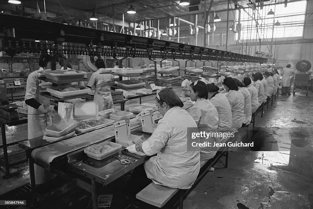 Cod Line Factory Women working in cod factory in Saint Pierre and Miquelon. News Photo ...
