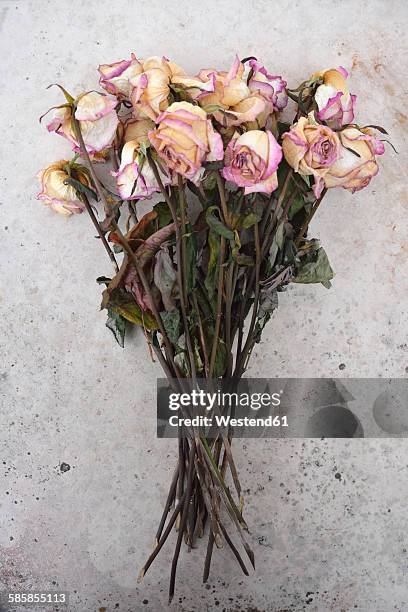 withered bunch of roses on a grey stone slab - fiori appassiti foto e immagini stock