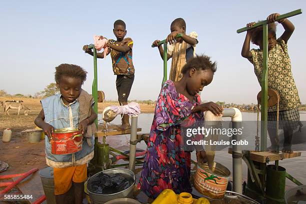 Rafia Fusseini and her sisters Fatima and Samata who suffered from multiple guinea worm wounds in 2007, collect filtered water with their older...