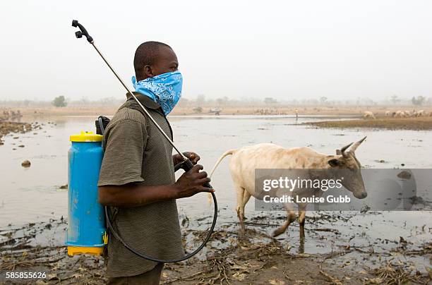 Member of the Guinea Worm Eradication Program team prepares to apply the water purifying chemical ABATE, to eliminate the danger of guinea worm...