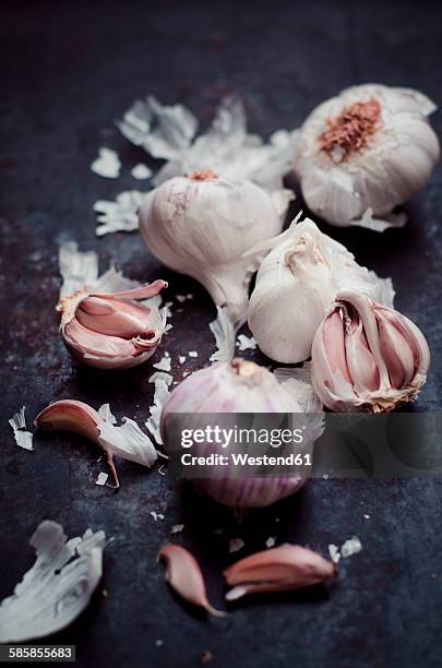 garlic bulbs and cloves on dark ground - garlic clove stock pictures, royalty-free photos & images