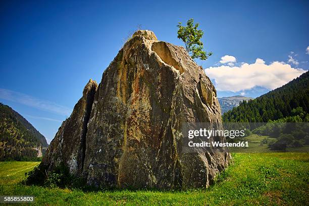 switzerland, grisons, zillis, big boulder and small tree - boulder stock pictures, royalty-free photos & images
