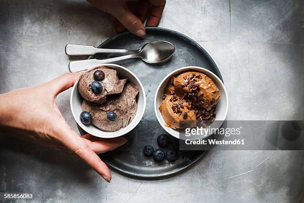 bowls of vegan blueberry banana and chocolate banana ice cream - mulher colher sorvete imagens e fotografias de stock