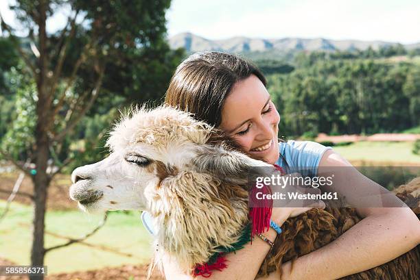 peru, cusco, young woman hugging an alpaca - llama like stock pictures, royalty-free photos & images