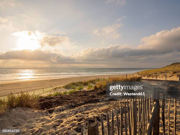 france, contis-plage, view to the beach at twilight - france beach stock pictures, royalty-free photos & images